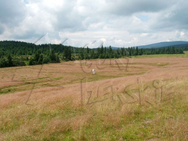 Budka meteorologiczna na Izerskiej ce